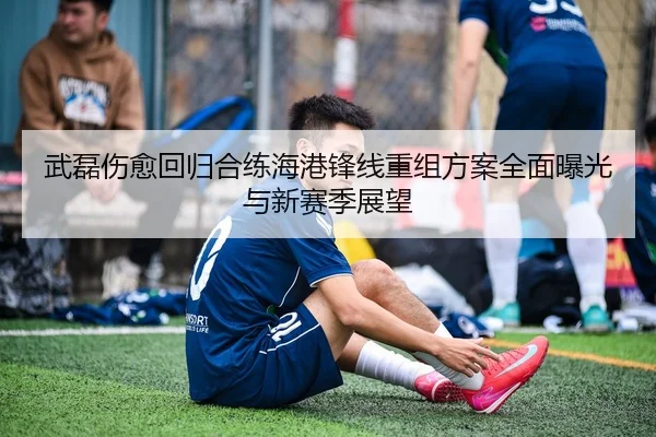 武磊伤愈回归合练海港锋线重组方案全面曝光与新赛季展望