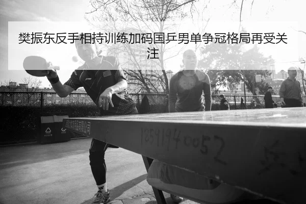 樊振东反手相持训练加码国乒男单争冠格局再受关注